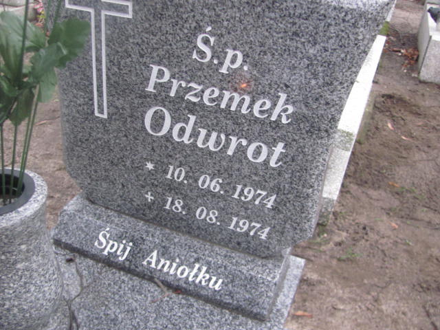 Przemek Odwrot 1974 Szamotuły - Grobonet - Wyszukiwarka osób pochowanych