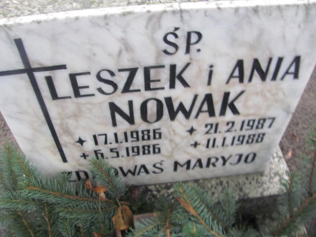 Anna Nowak 1987 Szamotuły - Grobonet - Wyszukiwarka osób pochowanych