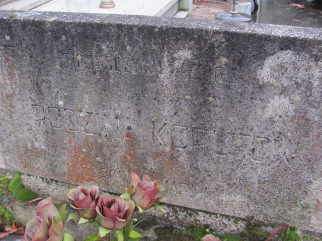 Teresa Januchta  1047 Szamotuły - Grobonet - Wyszukiwarka osób pochowanych