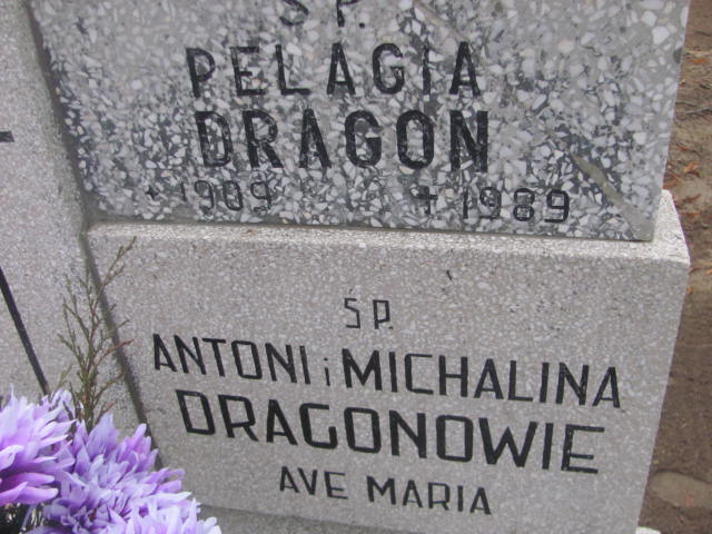 Pelagia Dragon 1908 Szamotuły - Grobonet - Wyszukiwarka osób pochowanych