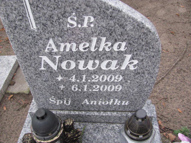 Amelia Nowak 2009 Szamotuły - Grobonet - Wyszukiwarka osób pochowanych
