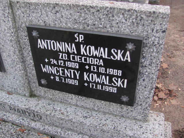 Antonina Kowalska 1909 Szamotuły - Grobonet - Wyszukiwarka osób pochowanych