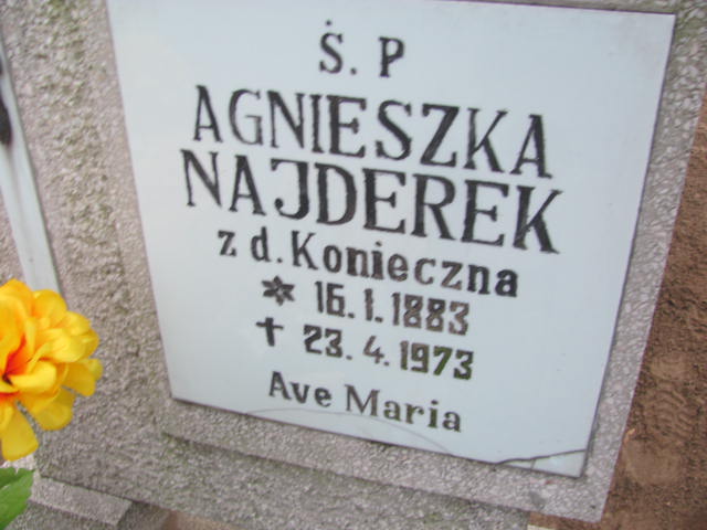 Janina Langiewicz 1921 Szamotuły - Grobonet - Wyszukiwarka osób pochowanych