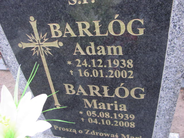 Adam Barłóg 1938 Szamotuły - Grobonet - Wyszukiwarka osób pochowanych