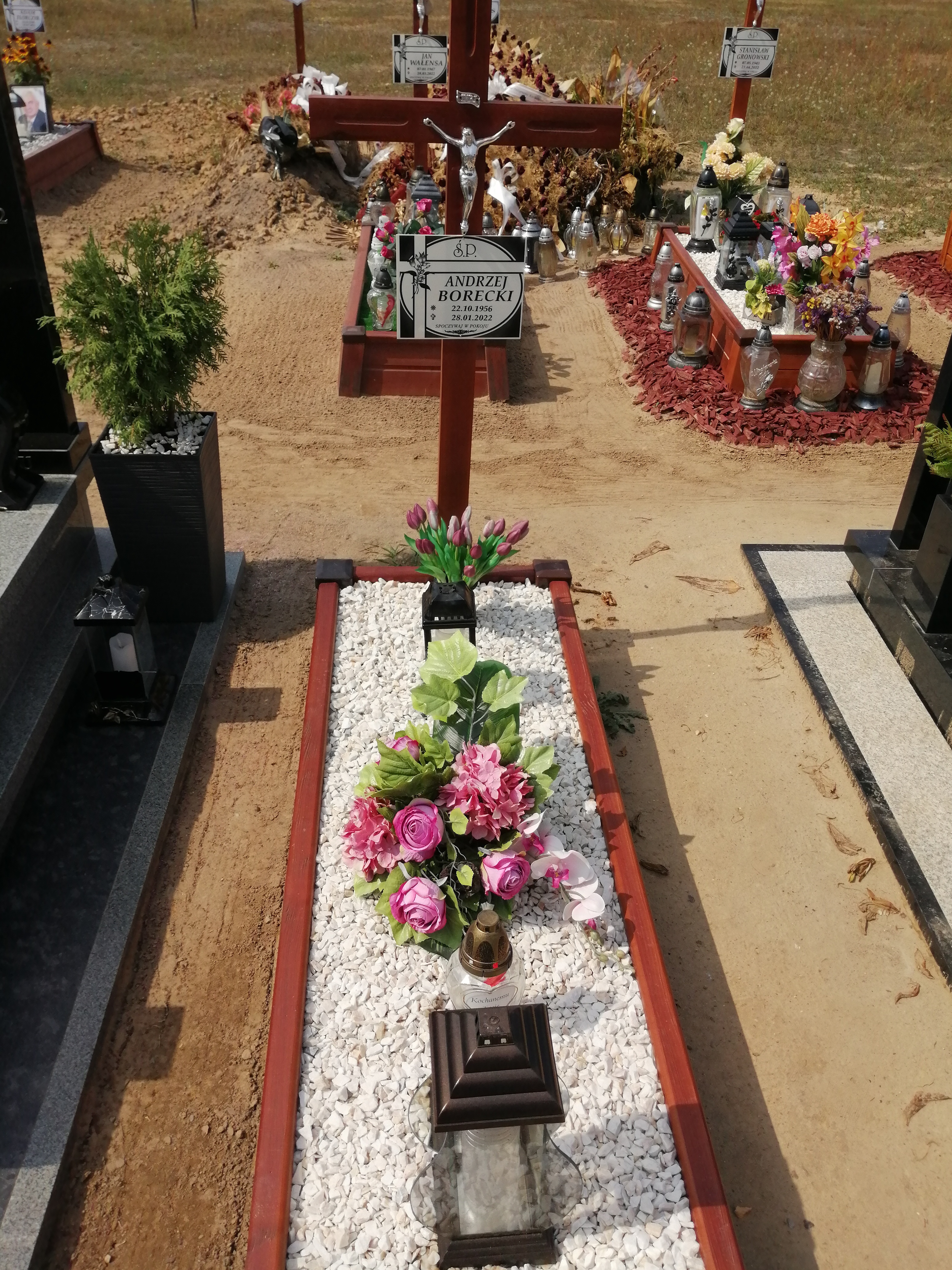 Andrzej Borecki 1956 Szamotuły - Grobonet - Wyszukiwarka osób pochowanych